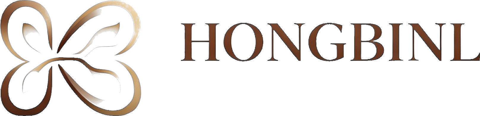 HONGBINL TECH LIMITED